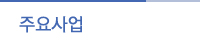 주요사업